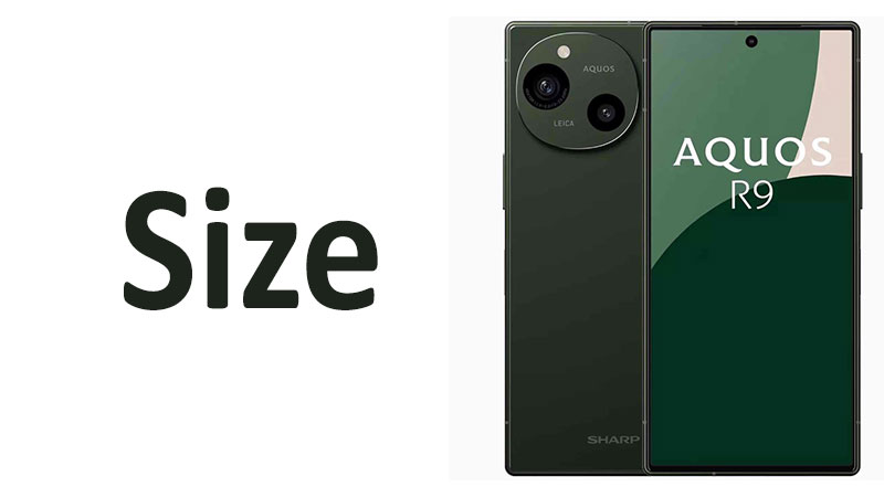 Sharp Aquos R9 Size Screen, Dimensions & Comparisons